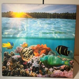 Aquatic canvas art
